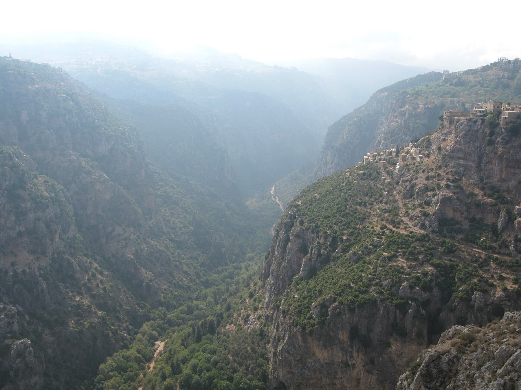 وادٍ أخضر يكسوه الضباب في جبال لبنان